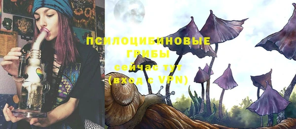 эйфоретик Корсаков