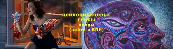 эйфоретик Корсаков