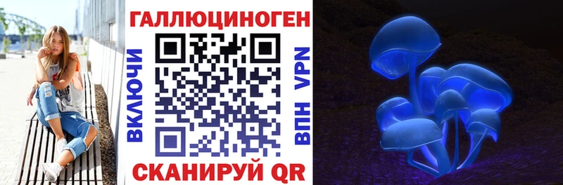 Купить закладки  Венёв  Галлюциногенные грибы Psilocybine cubensis 